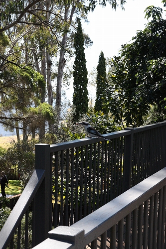b0148547_19403376.jpg