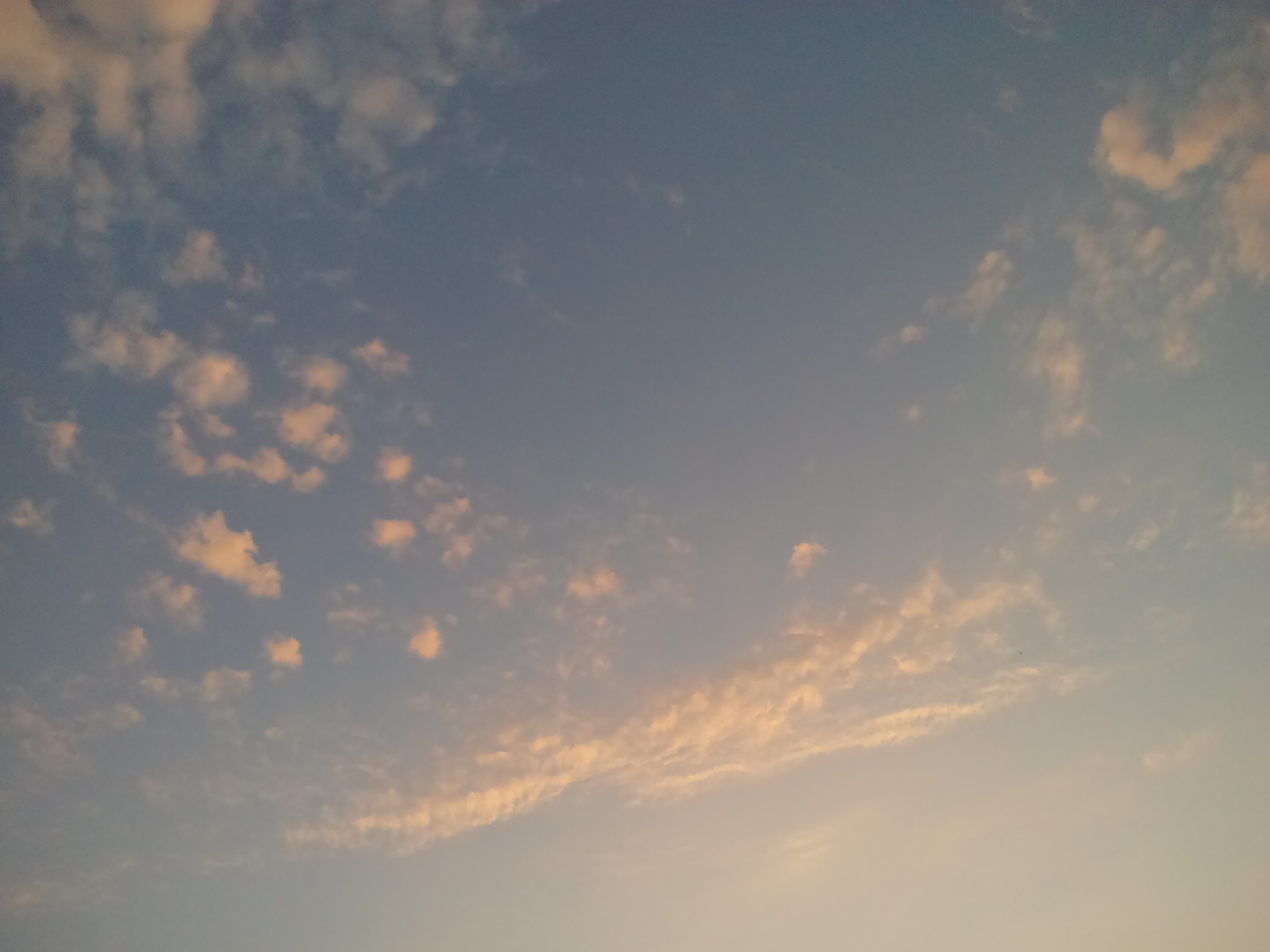 c0110447_18351576.jpg