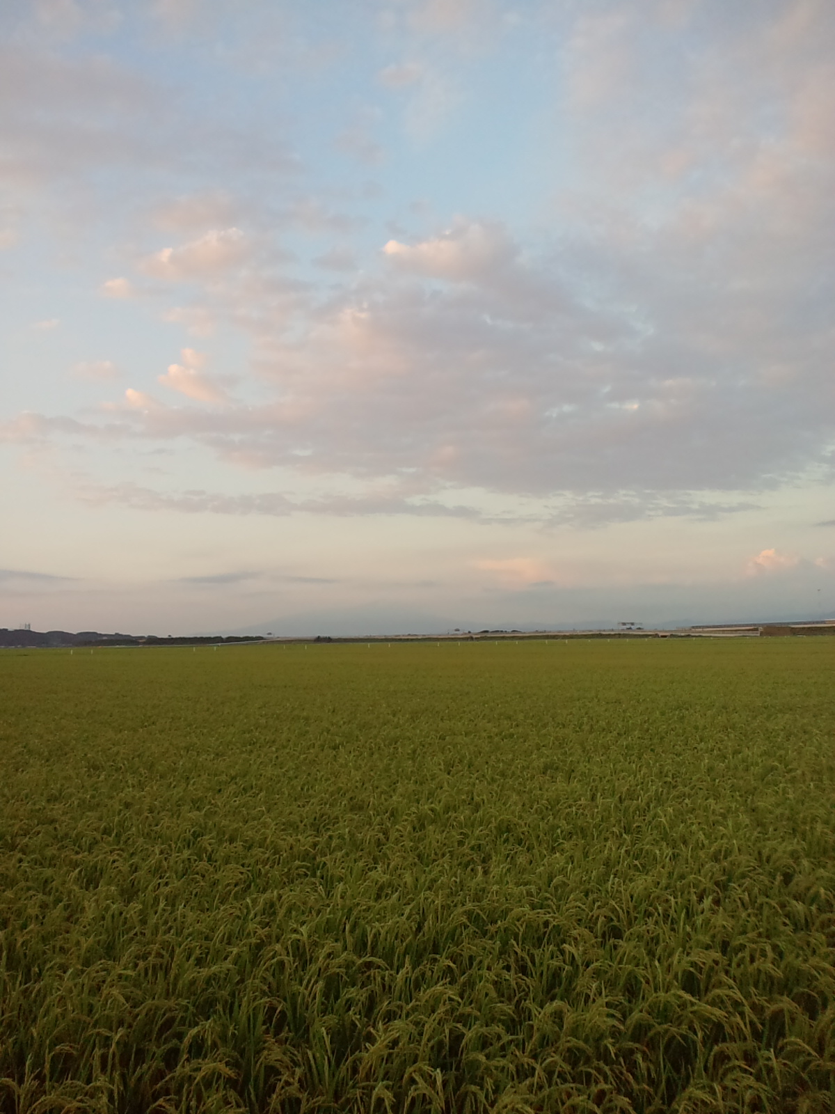 c0110447_1835241.jpg