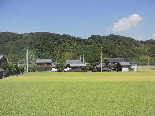 a0004752_21124984.jpg