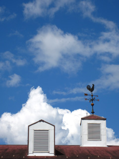 a0052952_23523497.jpg