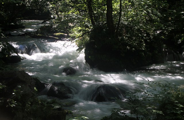 b0242358_21461729.jpg