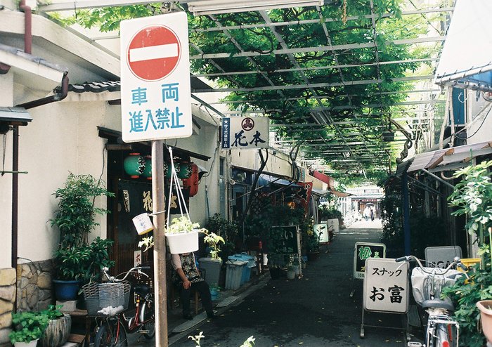 d0240158_621733.jpg