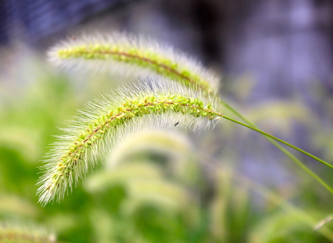 a0248459_18254255.jpg