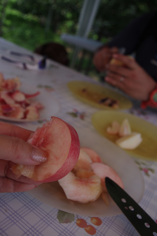 d0093462_7213799.jpg