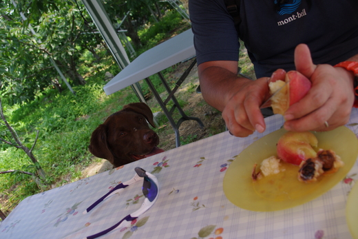 d0093462_7234950.jpg