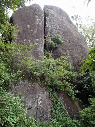 b0050067_2435152.jpg