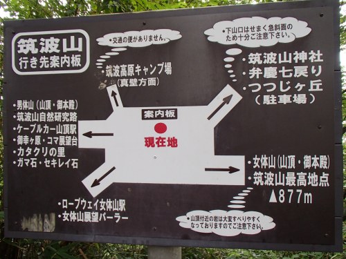 b0050067_310361.jpg