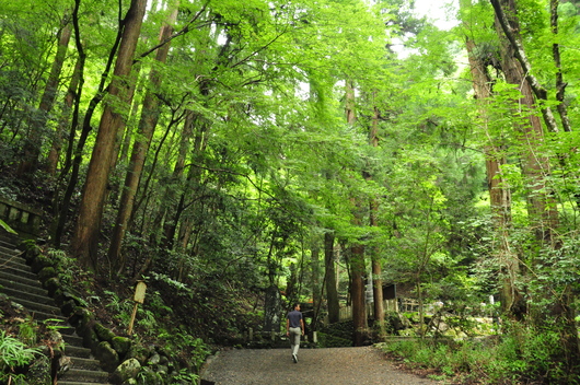 f0029271_12273697.jpg