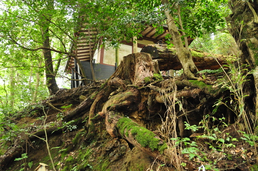 f0029271_12472131.jpg