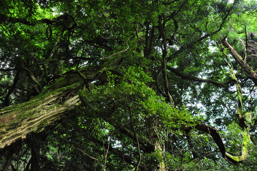 f0029271_131015100.jpg