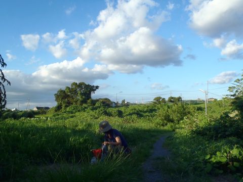 f0047773_20234883.jpg