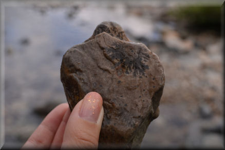 e0099375_7475469.jpg