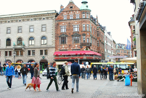 e0231876_1232969.jpg