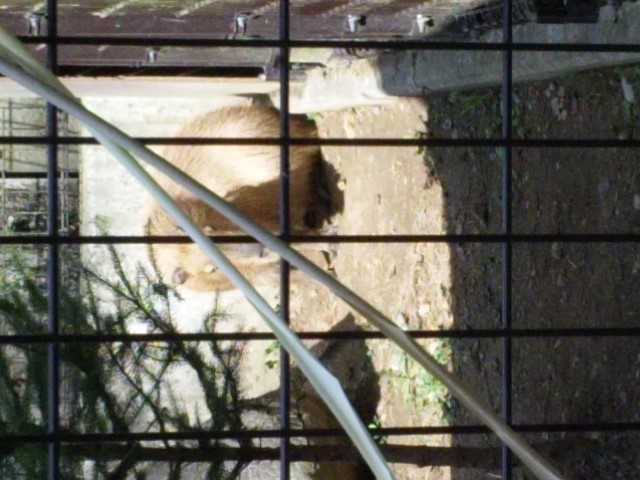 f0007079_9341943.jpg