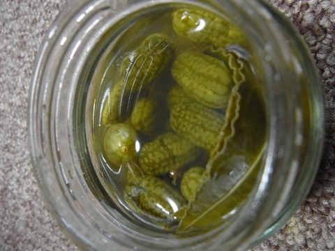 f0014980_772210.jpg