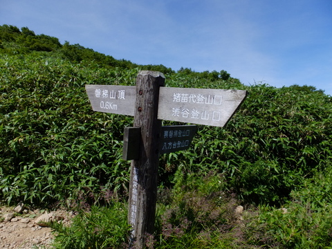 a0043982_16481141.jpg