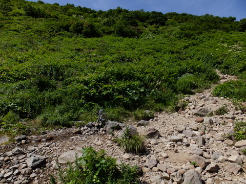 a0043982_16483739.jpg