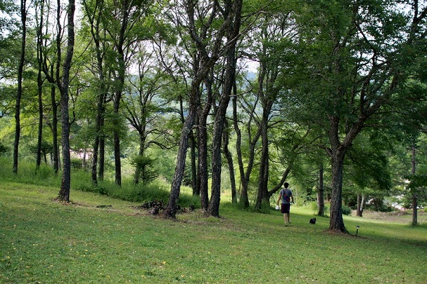 f0238184_1215716.jpg