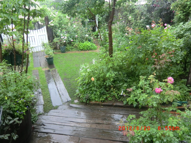 c0078586_21291031.jpg