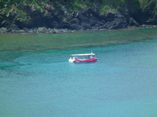 e0028387_20335893.jpg