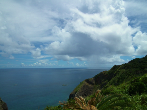 e0028387_2039649.jpg
