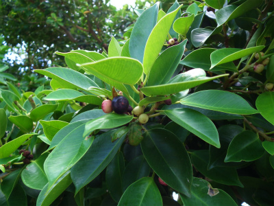 e0028387_20445155.jpg