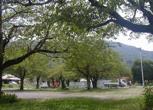 d0053294_0194735.jpg