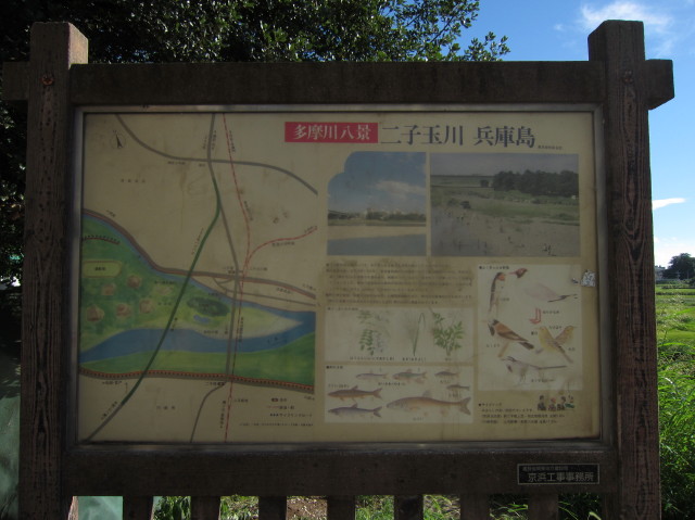 d0098295_23562260.jpg