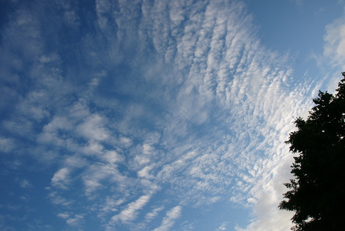 f0138395_2313416.jpg