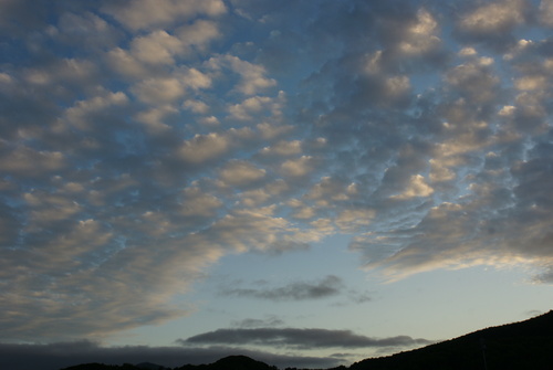 f0138395_2341912.jpg