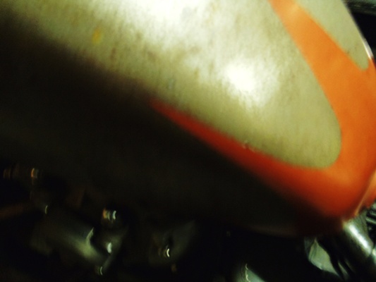 a0159702_1273112.jpg