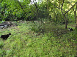 e0206902_223418.jpg