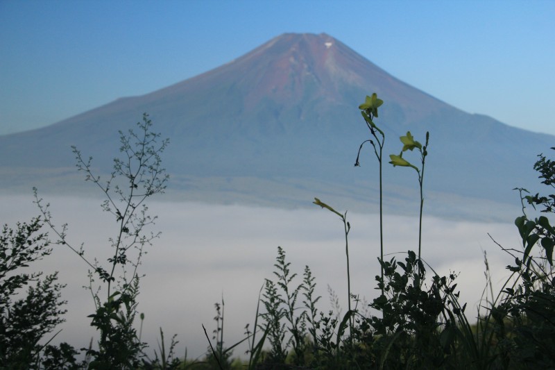 a0188405_20573446.jpg