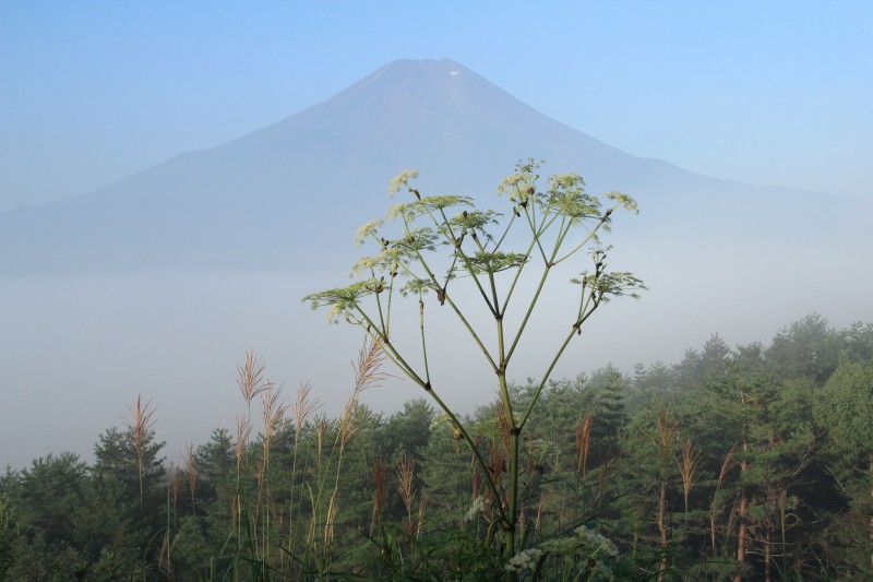 a0188405_20592398.jpg