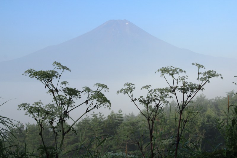 a0188405_20594228.jpg