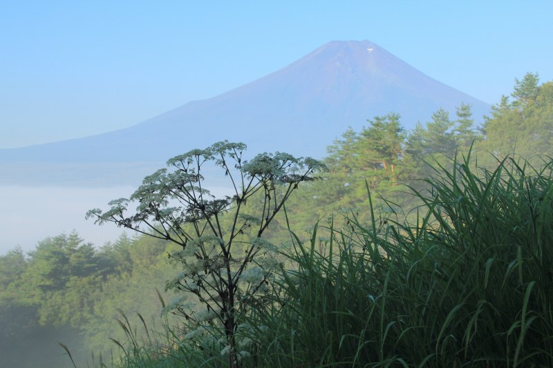 a0188405_2103392.jpg