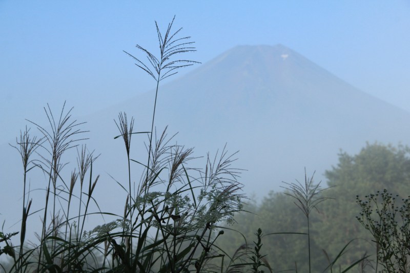 a0188405_2113952.jpg
