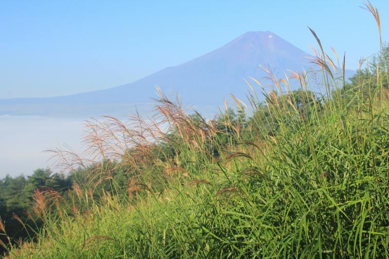 a0188405_2115614.jpg