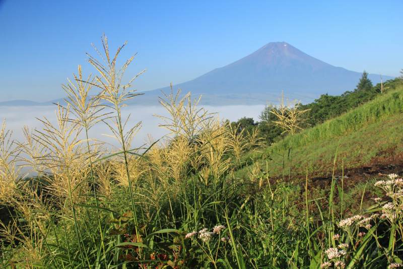 a0188405_2121358.jpg