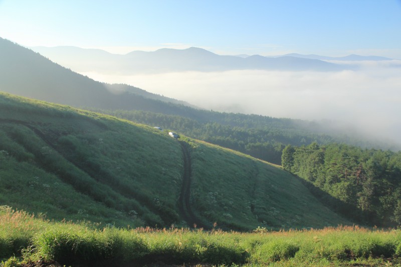 a0188405_2162039.jpg