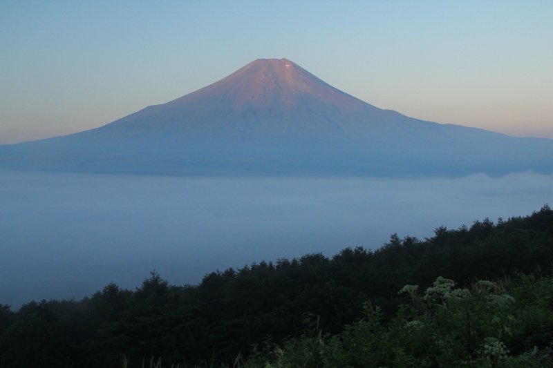 a0188405_940772.jpg