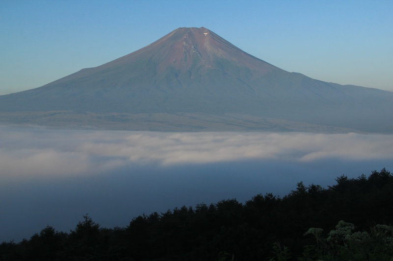 a0188405_9455299.jpg