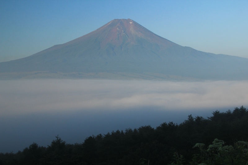 a0188405_94695.jpg