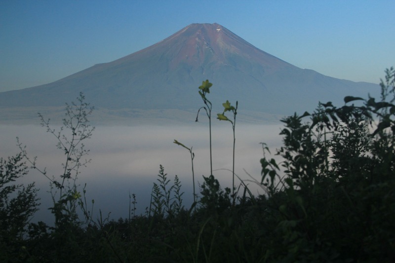 a0188405_947982.jpg