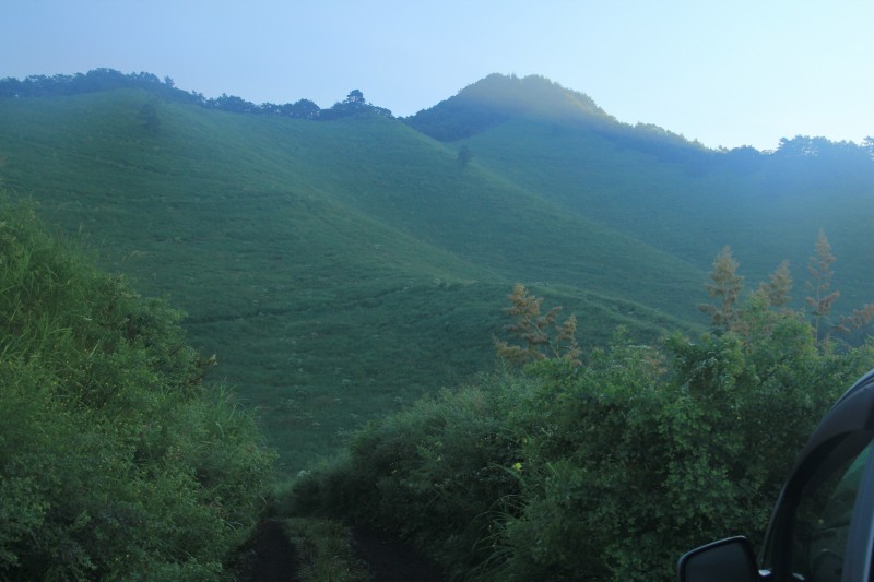 a0188405_9481653.jpg