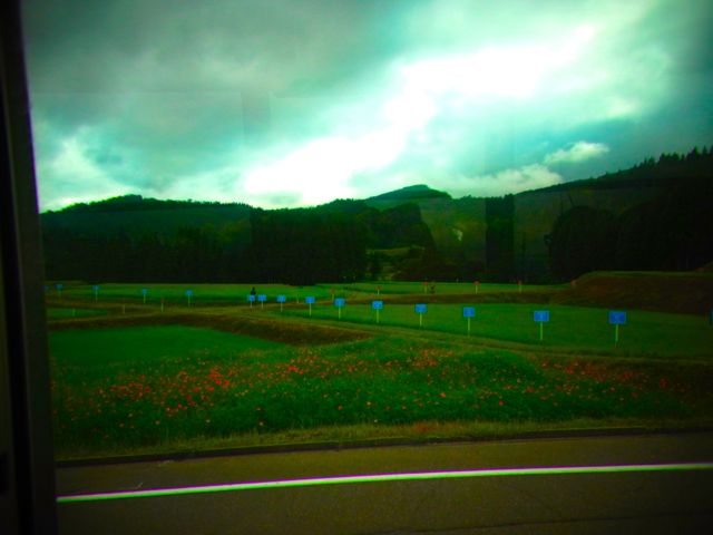 b0183911_2354771.jpg