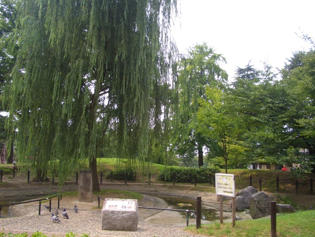 e0033713_1034246.jpg