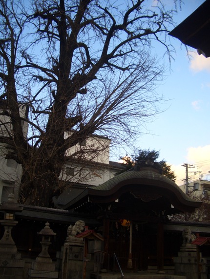 e0033713_10442442.jpg