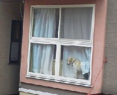 e0254813_1417541.jpg
